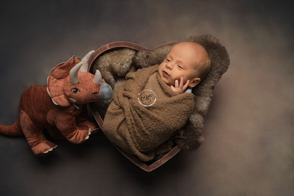 Newborn Shooting Geilenkirchen