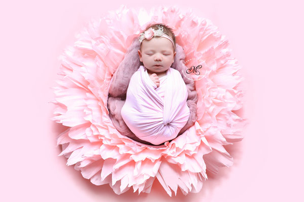Newborn Shooting Mönchengladbach