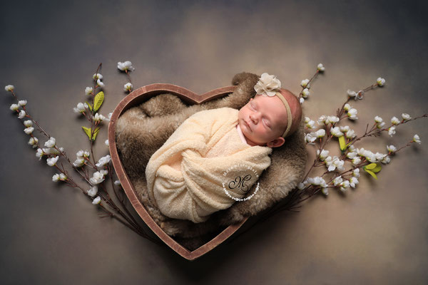 Baby Shooting Wegberg