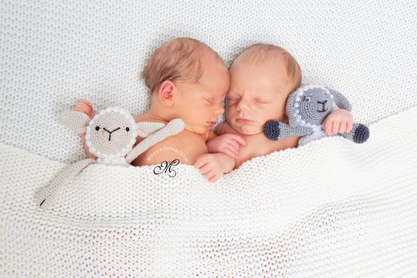 Baby Shooting  Gangelt