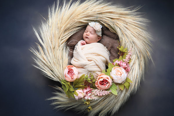 Baby Shooting Herzogenrath