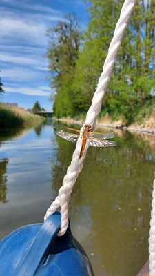 Mit dem Hausboot die Havel entlang | Hausboot mieten | Die Bootschaft