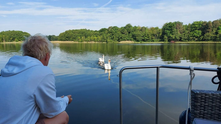 Natur pur im Hausbooturlaub  | Hausboot mieten | Die Bootschaft