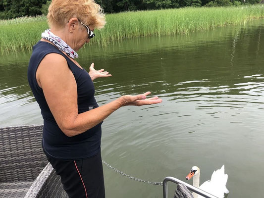 Natur pur im Hausbooturlaub | Hausboot mieten | Die Bootschaft