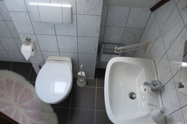 Washbasin with WC