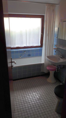 Das Badezimmer mit Toilette und Badewanne.