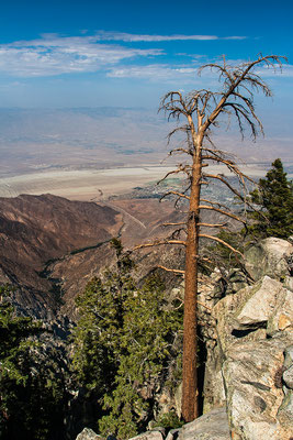 California: Palm Springs: Going by Aerial Tramway
