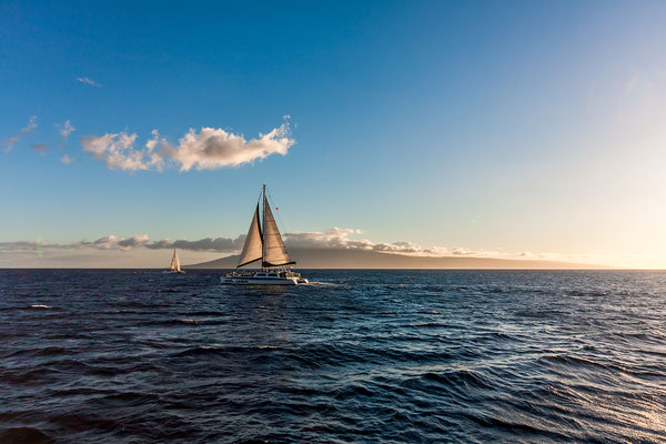 Maui: Catamaran: Dinner Sail