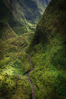 Kauai: Helicopter Flight: Along the rainiest mountain range