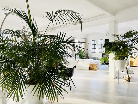 Fotolocation, Loft-Location, Mietlocation