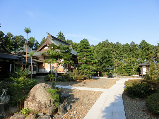 広徳院の大イチョウ