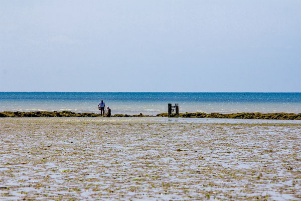 Saint-Pair-sur-Mer