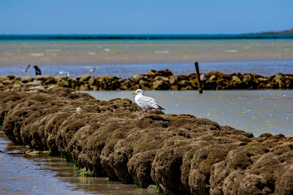 Saint-Pair-sur-Mer