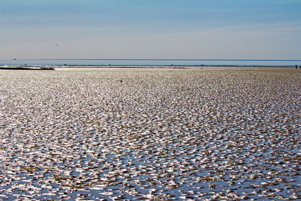 Saint-Pair-sur-Mer