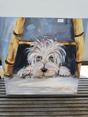 Hund   3 D Bild,   40 x 40 cm                                                                           30,00€