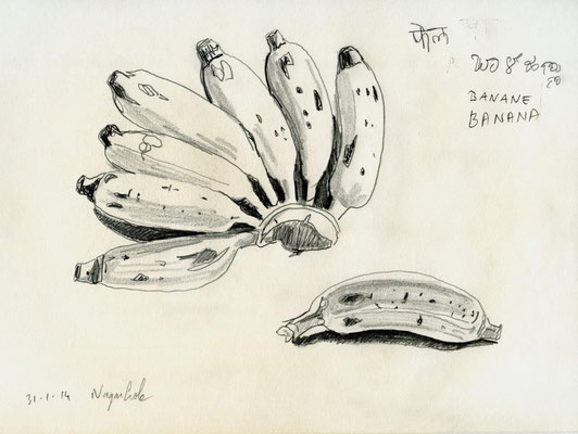 Bananes, Olivier Loir