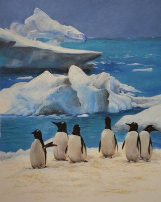 Pinguine - 50x65 cm