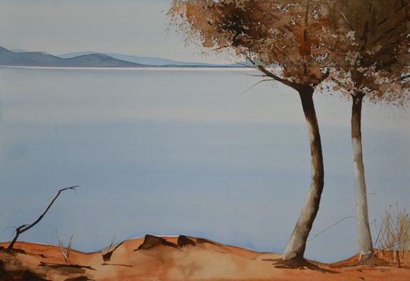See - 38x56 cm