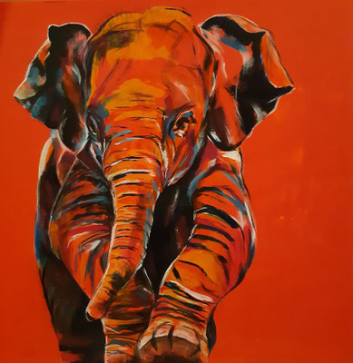 Babyelefant - 60x60 cm
