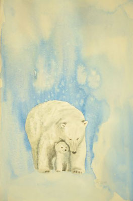 Eisbären - 31x49 cm