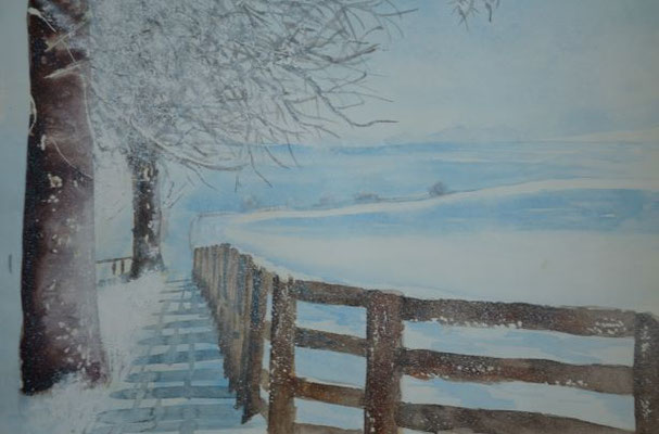 Winterspaziergang 2 - 31x49 cm