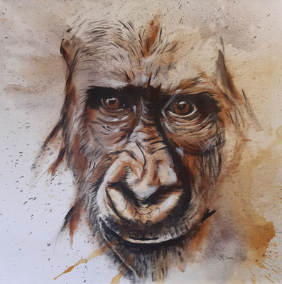 Gorilla - 60x60cm