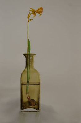 Märzenbecher - 38x57 xm