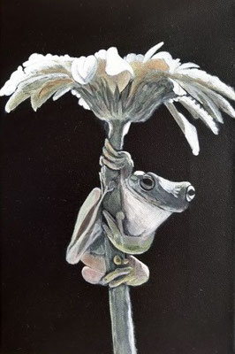 Frosch 2 - 20x30 cm
