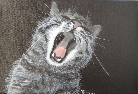 Katze 2 