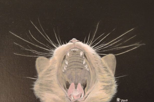 Katze 1 - 20x30 cm