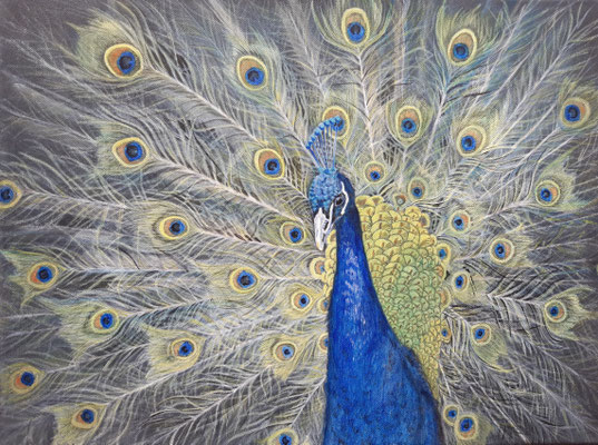 Pfau - 30x40 cm