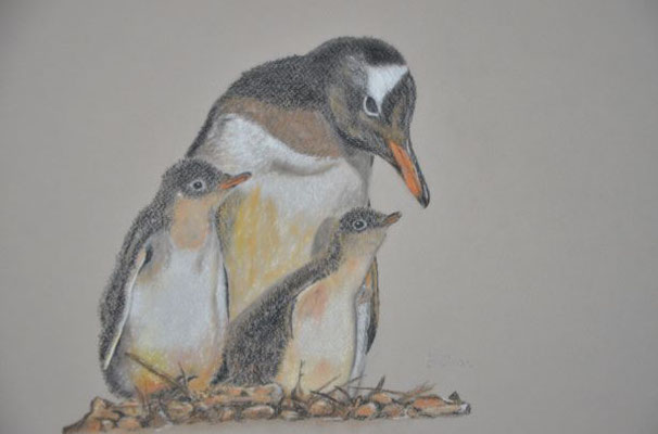 Pinguine - 25,5x30,5 cm