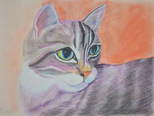 Katze - 30x40 cm