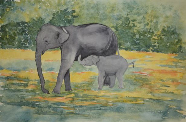 Elefanten - 31,5x48,5 cm
