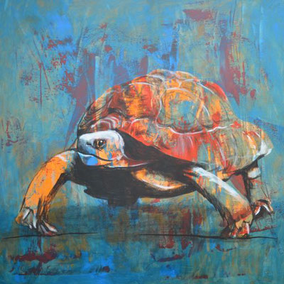 Schildkröte - 60x60 cm
