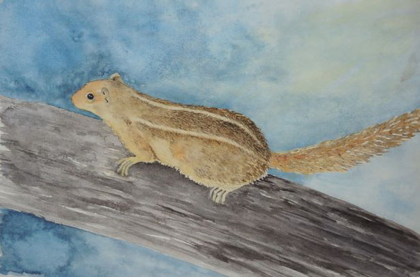 Streifenhörnchen - 31,5x48,5 cm