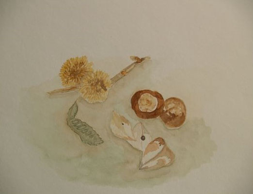 Kastanien - 24x30 cm