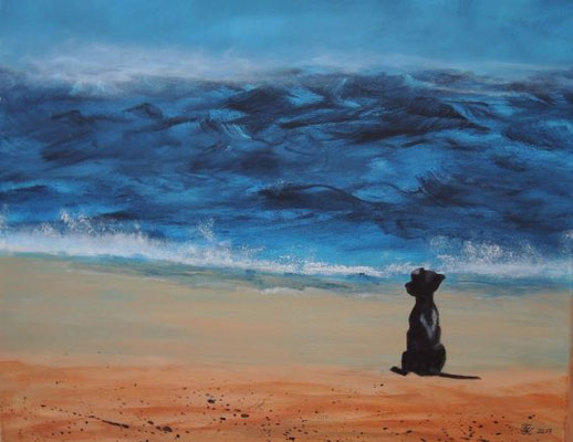 Hund am Meer - 40x50 cm