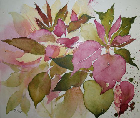 Weihnachtsstern - 31x49 cm