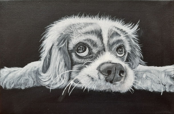 Hund - 20x30 cm
