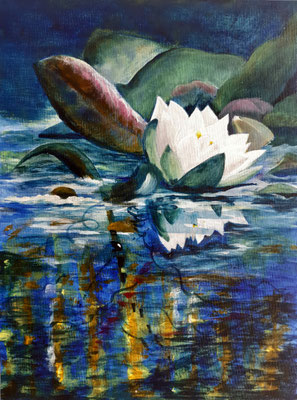 Seerose - 29,5x39,5 cm