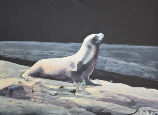 Seehund - 30x40 cm