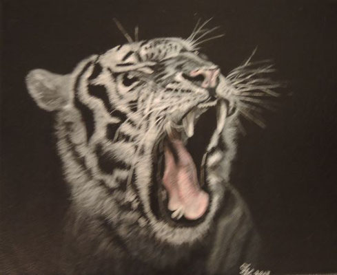Tiger - 20x25 cm