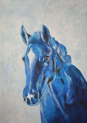 Blaues Pferd - 50x70 cm