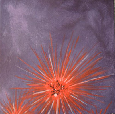 Seeigel - 20x20 cm