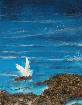 Möwe am Meer - 50x60 cm