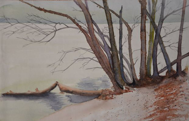 Donau - 31x49 cm