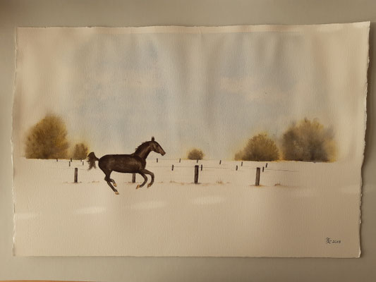 Pferd auf der Koppel - 38x57 cm