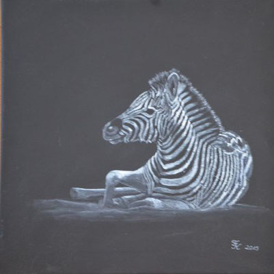 Zebra - 30x30 cm