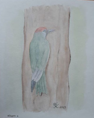 Grünspecht - 24x30 cm